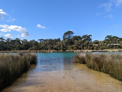 Anglesea River 4.jpg