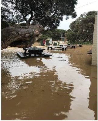 Alt-flooding-pic.jpg