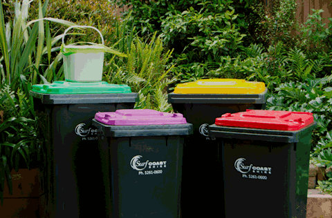 Provide more rubbish bins in nature reserve