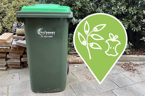 Organics bin