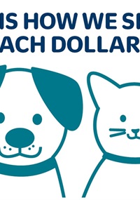 Animal Reg Fees flyer image.JPG