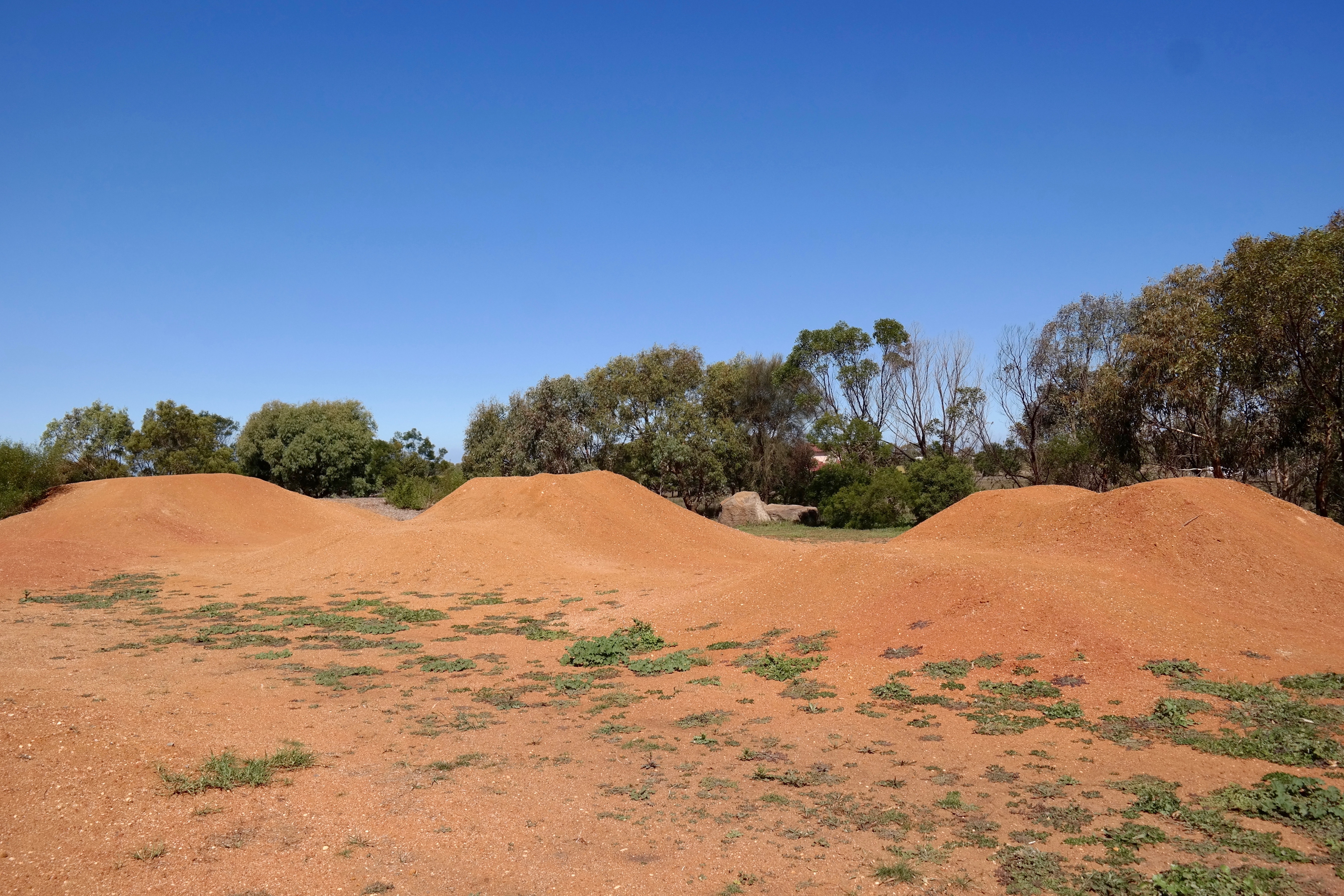 Connewarre Bike Park.jpg