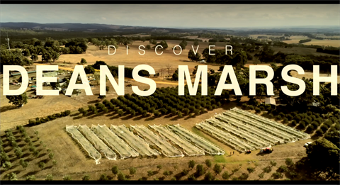 Discover Deans Marsh view.PNG