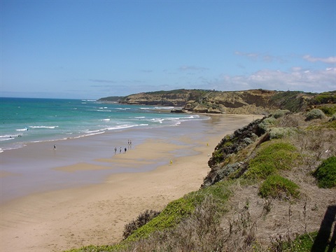 beach scene.jpg