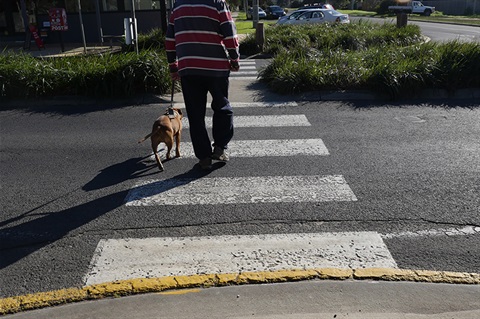 Man and dog crossing road
