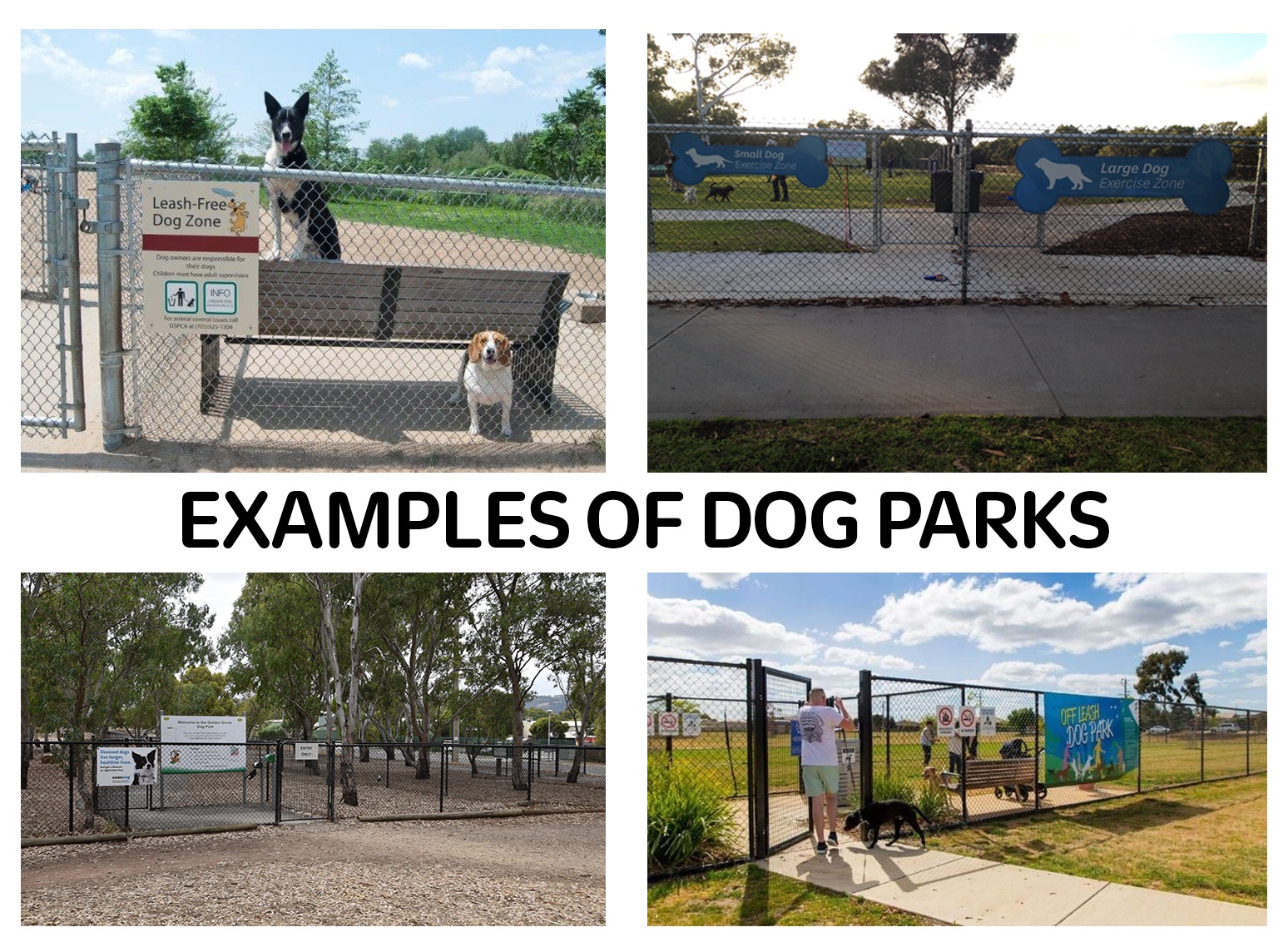 Dog park examples.jpg