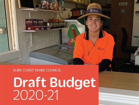 Draft Budget 2020-21 clip.jpg