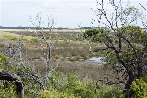 Karaaf Wetlands