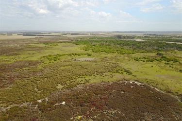 Karaaf wetlands aerial of wetlands