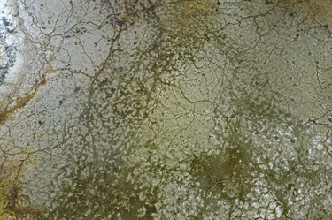 Karaaf wetlands - aerial of partially wet earth