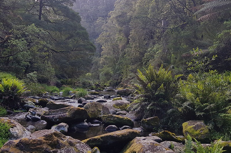 Cumberland River photo competition winner