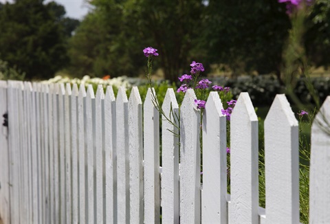 Boundary-fence.jpg