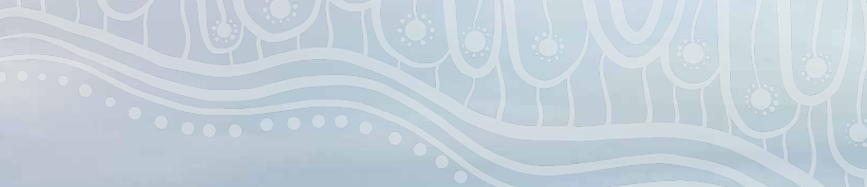 Council Advocacy Priorities prospectus banner.png