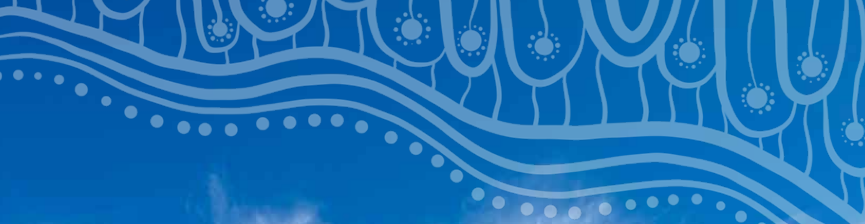 Vic Election Advocacy Priorities prospectus banner.png