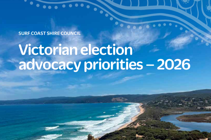 Vic Election Advocacy Priorities prospectus cover.png