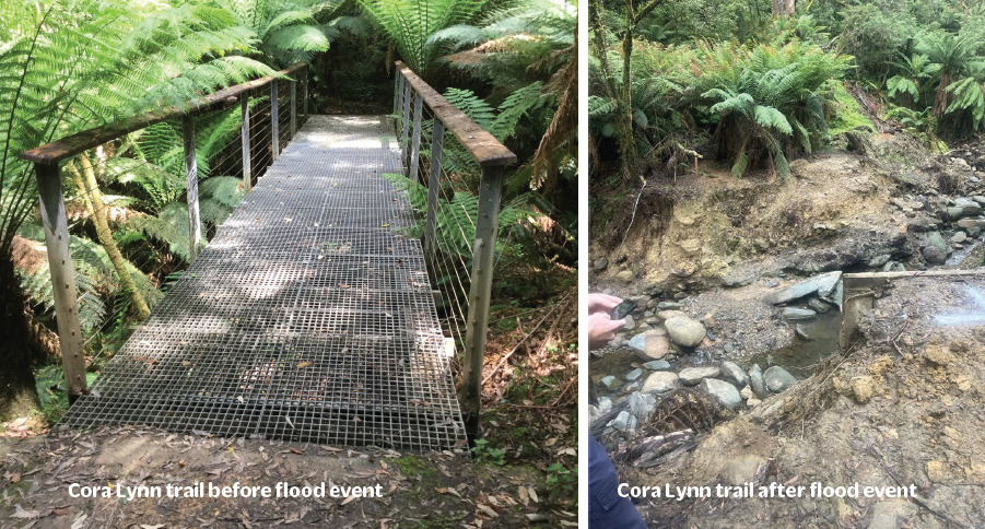 Walking-trails-before-and-after.png