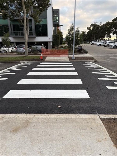 Baines-Cres-wombat-crossing-2.jpg