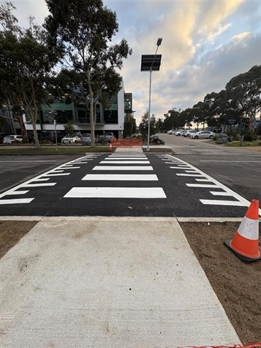 Baines-Cres-wombat-crossing-3.jpg