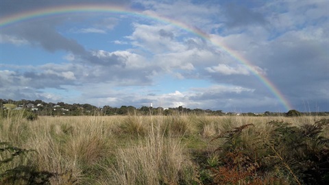 Painkalak CReek.jpeg