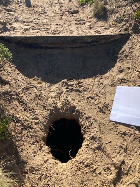 Top of Anglesea sink hole.jpeg