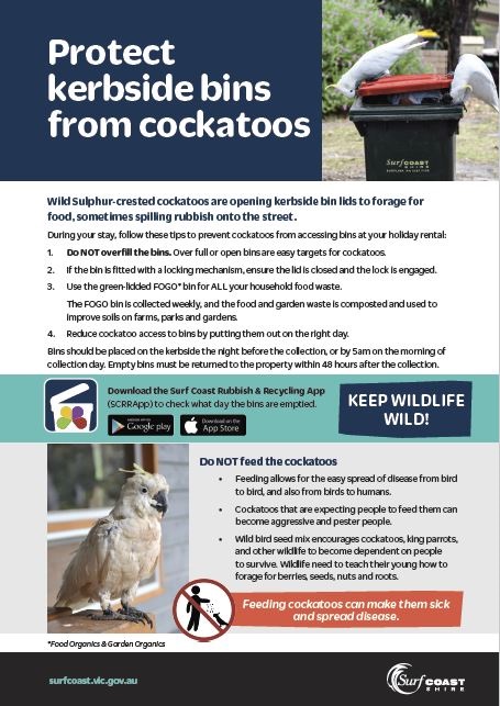 Protect bins from cockatoos.JPG