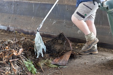 This year’s audits showed less contamination (wrong items in the bin) in the FOGO, glass and recycling streams, which is great!