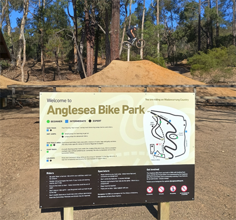 Anglesea Bike Park.png