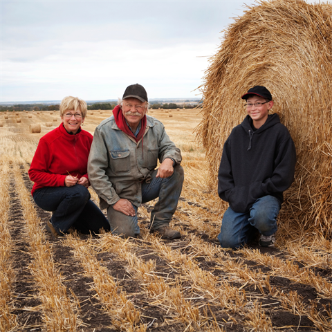 Newsletter_Image_Farm.png