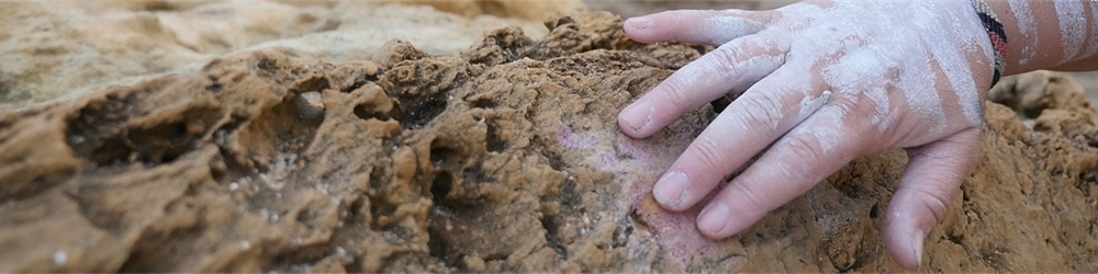 hand on ochre.png