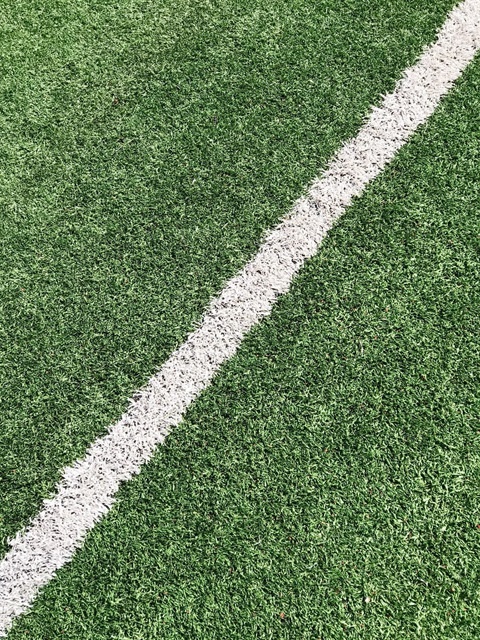 sport ground line.jpg