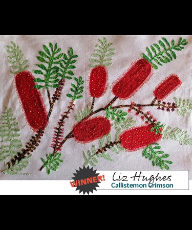 Callistemon Crimson | Liz Hughes | 2D
