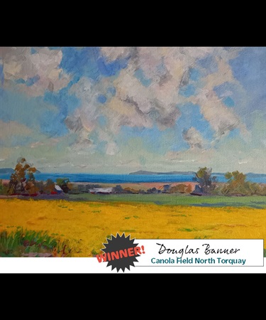 Canola Field, North Torquay | Douglas Banner | 2D