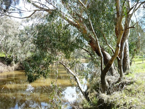 barwon_river_west_reserve.jpg