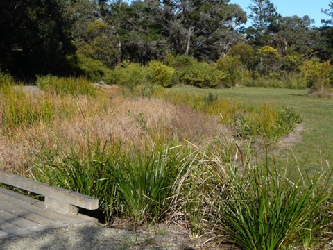 bellbrae_nature_reserve.jpg