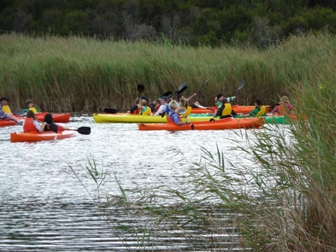 coogoorah_park_nature_reserve.jpg