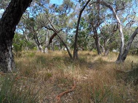 edna_bowman_nature_reserve.jpg