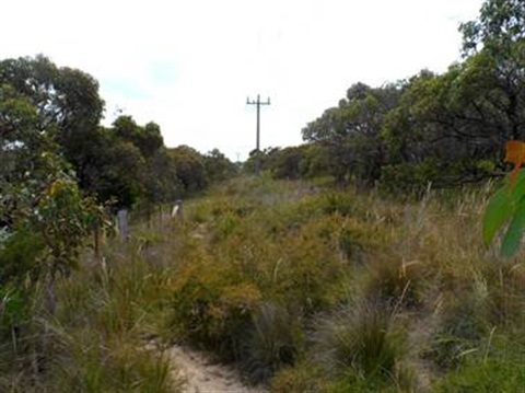 merrans_nature_reserve.jpg