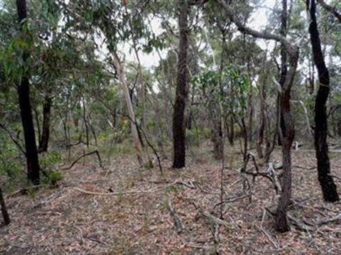 woodbank_rise_nature_reserve.jpg