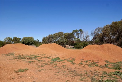 Connewarre Bike Park.jpg
