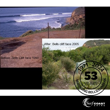 Bells Beach cliff revegetation 1990 to 2005