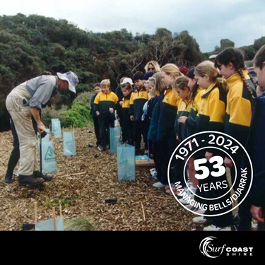 Bells Beach school planting day