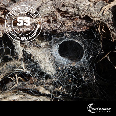 Spider web at Bells Beach