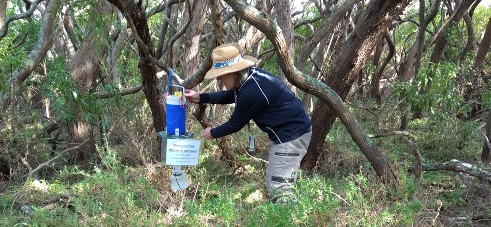 Person using a mosquito trap in a wooded area