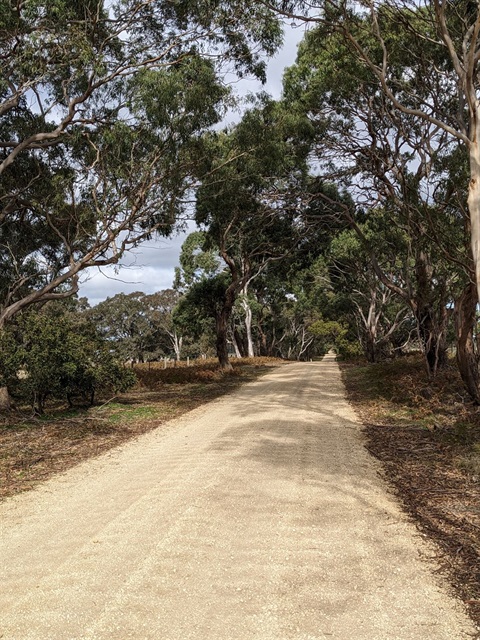 Picture-of-dirt-road.jpg