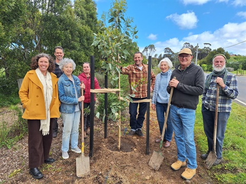 Branching Out - Deans Marsh.jpg