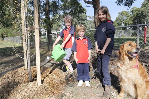 Deans Marsh Primary School Green Team members Elliot Cleland, Finley Ashton, Jaylee Butler with school dog Aslan..JPG
