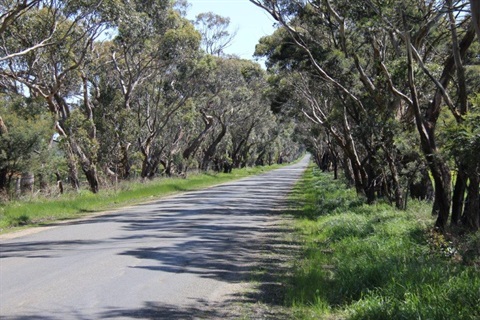 Road Management Plan