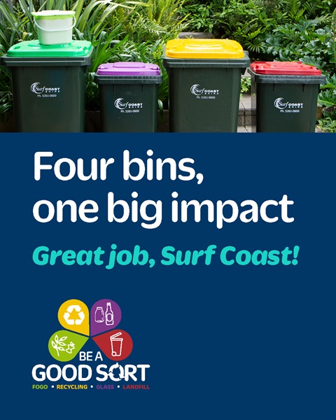 Bin stats carousel.jpg