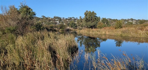 Painkalac Creek