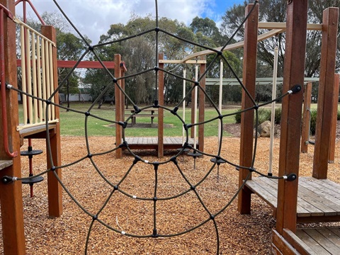 Spider climber.jpg